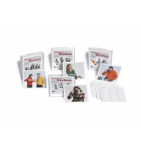 Photo boxes verbes d'actions 4 vignette