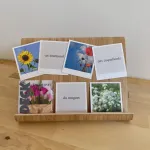 fleurs vignette